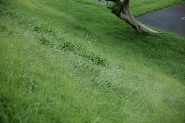 Kratki trawnikowe - idealne rozwiązanie na podjazd i parking przy domu Kratki trawnikowe - idealne rozwiązanie na podjazd i parking przy domu